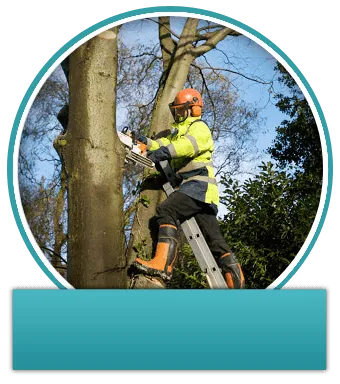 tree_word_pod2-2880w